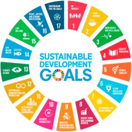 SDGs